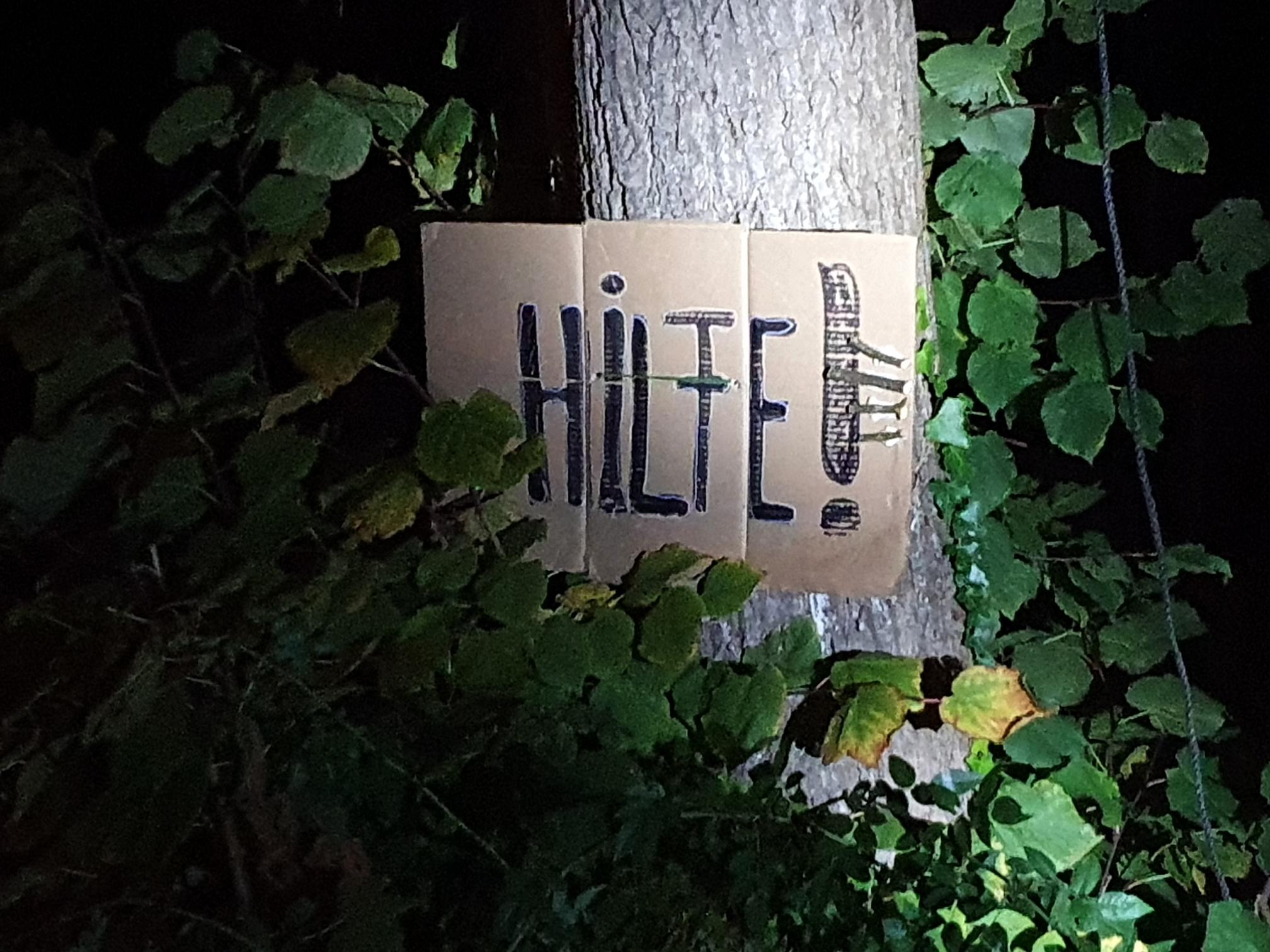 Ein Baum mit einem Pappschild an seinem Stamm, auf dem nur „Hilfe!“. Das Bild ist in den frühen Morgenstunden noch im Dunkeln aufgenommen worden. Das Pappschild wird von einem Scheinwerfer oder einer Lampe angeleuchtet.